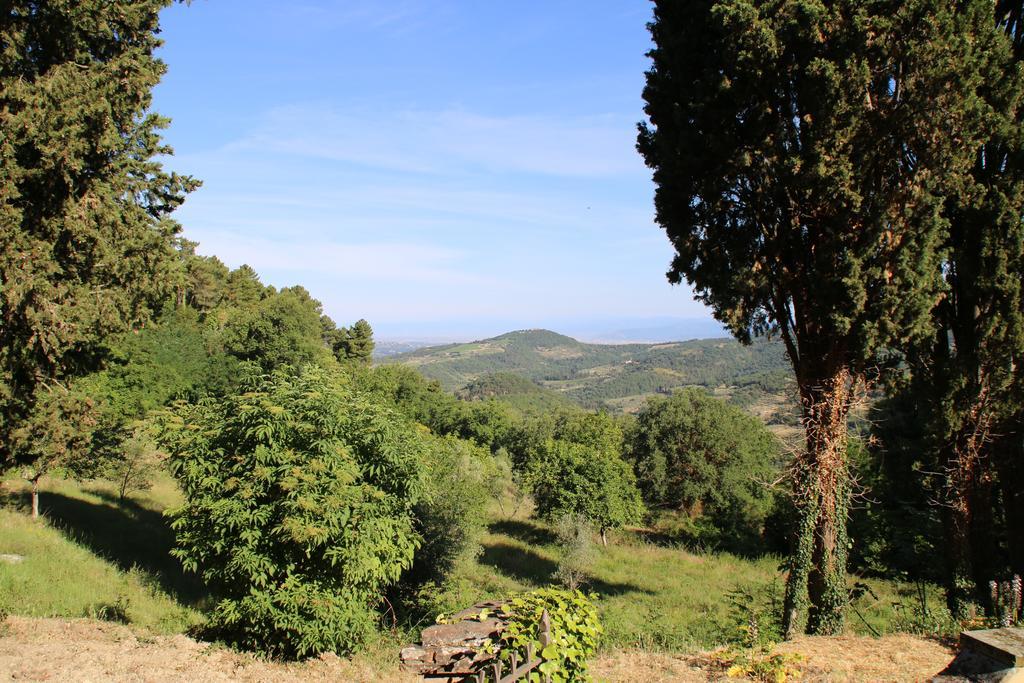 Appartement Tenuta La Novella à Poggio Alla Croce Extérieur photo
